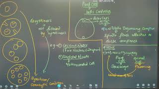 NEET 2025 BIOLOGY  CELL CYCLE  REGULATION OF MITOSIS  MEIOSIS INTRODUCTION [upl. by Lleruj]