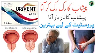 urivent tablet uses in Urdu  tamsulosin hcl 04 mg capsule uses  prostate gland Treatment [upl. by Hauger]