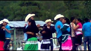 baile en la sierra del Mezquital Dgo [upl. by Leiuqeze]