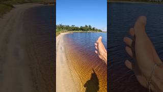 1 Mistake While Flats Fishing fishing saltwaterfishing panamacityfishing [upl. by Annael326]