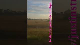 VLINE Rochester to Soutern Cross 051124 victoria shorts shortvideo train travel views [upl. by Ecnarretal]