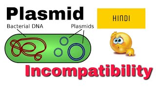 Plasmid incompatibility in hindi [upl. by Ahsircal750]