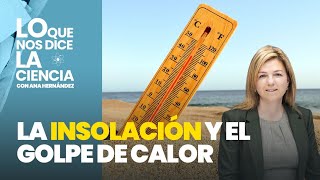 Lo que nos dice la ciencia Insolación y golpe de calor ¿son lo mismo [upl. by Namilus858]