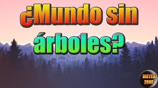 ¿Qué pasaría si desaparecieran los árboles DatoCurioso 13 [upl. by Gilba]