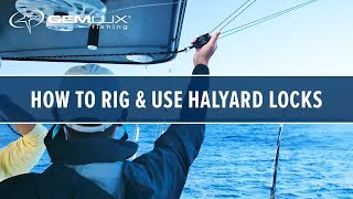 How To Rig and Use Halyard Locks With Gemlux Outriggers [upl. by Bekaj625]