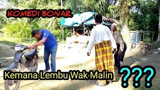 Kemana Lembu Wak Malin [upl. by Hesler]