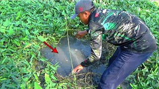 Tehnik Jitu  Mancing Ikan HaruanGabusSnakeheadBlackeheadCoklatehead Irenghead [upl. by Akira712]