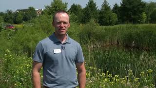 Wetland Detention Basin  Stormwater Best Management Practices [upl. by Assirral]