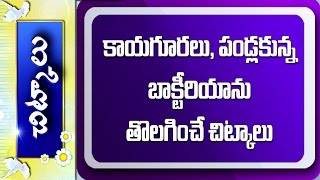 Tips to Prevent Bacteria in Fruits Vegetables  Baking Soda Vinegar  Chitkalu  Vanitha Nestham [upl. by Trixy]