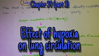 Effect of hypoxia on lung circulation Chapter 39 part 3 Guyton and hall text book of physiology [upl. by Nahgeam]