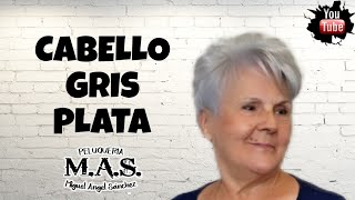 Pelo Gris Plata Mujer ¡Tutorial RÁPIDO Y FÁCIL [upl. by Tergram796]