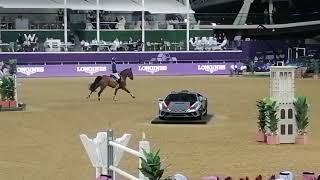 Horse jumping championship event  Longines Grand Prix 2024  qatar horse horseshow [upl. by Bennet]