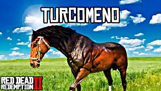 COMO PEGAR O TURCOMENO O CAVALO MAIS COMPLETO DE RDR2 [upl. by Dorthy]