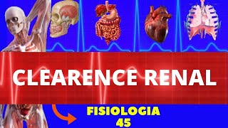 CLEARANCE RENAL FISIOLOGIA HUMANA  FISIOLOGIA RENAL  FISIOLOGIA DE GUYTON  SISTEMA RENAL [upl. by Ruhtra]