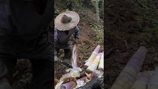 Huge Bamboo Shoot Harvest is Taste Good farming bamboo amazing viral fruit cutiing farmlife [upl. by Yendahc]