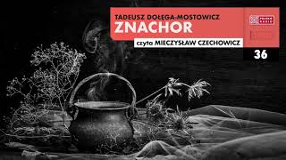 Znachor 36  Tadeusz DołęgaMostowicz  Audiobook po polsku [upl. by Raviv]