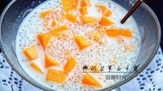 椰奶芒果西米露Mango sago with coconut milk [upl. by Ayotnom]