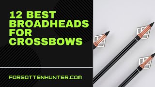 12 Best Crossbow Broadheads [upl. by Adolf614]