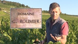 DOMAINE GEORGES ROUMIER by LOTEL DU VIN [upl. by Eiffub77]