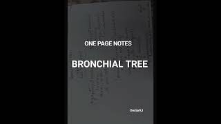 BRONCHIAL TREEANATOMY THORAXMBBS DOCTORKJ medicalstudent mbbs1styear doctor onepagenote [upl. by Hannahs]