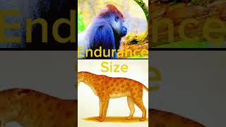 Gorilla vs smilodon primates vs big cats [upl. by Sternlight]