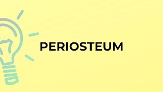 What is the meaning of the word PERIOSTEUM [upl. by Nywra884]