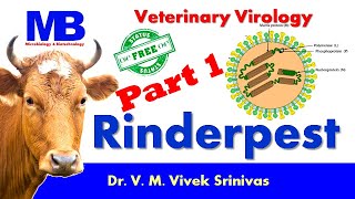 RINDERPEST  Part 1  Microbiology  Vivek Srinivas  Rinderpestfree Veterinaryscience [upl. by Oam141]