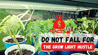 Grow Lights For LESS Money Cheap Alternatives to Expensive Grow Lights [upl. by Znarf83]