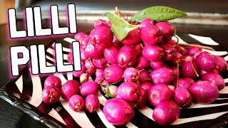 LILLY PILLY  Trying a Deliciously Crispy Fruit from Australia lilli pilli Weird Fruit Explorer [upl. by Ojimmas]