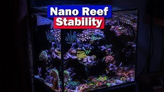 Nano Reef Tank Stability  How to keep a nano saltwater aquarium stable [upl. by Davies345]