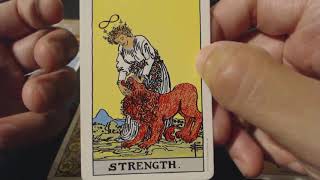 Virgo  Clearing Blockages November 2024 Tarot Reading [upl. by Alekram]