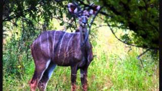 Namibia Country Lodges NCL [upl. by Oribelle788]