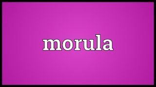 Morula Meaning [upl. by Buchheim]