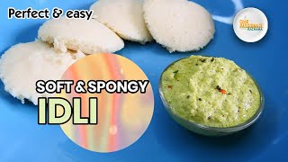 Idli Soft amp Spongy  Idli Breakfast  Idli Recipe  Bonus Coconut Chutney [upl. by Gombach521]