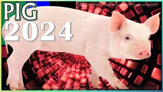 ✪ Pig Horoscope 2024 ✦ Born 2019 2007 1995 1983 1971 1959 1947 1935 [upl. by Wakerly54]