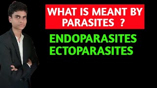 What is meant by parasite  What is ectoparasites and endoparasites  All concepts explained [upl. by Chrisman]