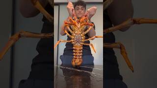 BIGGEST LOBSTER EVER COOKED [upl. by Osbert]