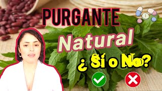 👉Purgante Natural  ¿Purgante laxante o antiparasitario ☢️🌿💊 [upl. by Tristis348]