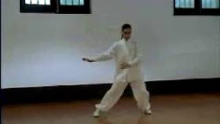 Taijiquan Form 42 quotOlympicquot [upl. by Adnoved]