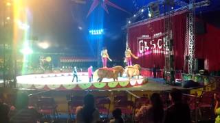 El mejor espectáculo del circo Hermanos Gasca [upl. by Emelen79]