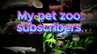 My tank and fish  My pet zoo [upl. by Oner649]