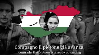 quotAvanti ragazzi di Budaquot  Italian Song about the Hungarian Revolution [upl. by Yleen]