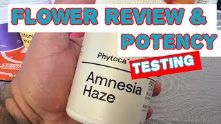 Amnesia Haze Sativa Flower  Medical Cannabis [upl. by Silloh928]