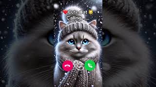 Cute cat calling ❤️ [upl. by Ennylcaj]