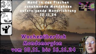 Wochenüberblick der Mondenergien vom 1011 bis 161124 [upl. by Jeraldine]