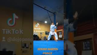 karatedo karatetradicional karatekid viralvideo defensapersonal [upl. by Aseral]