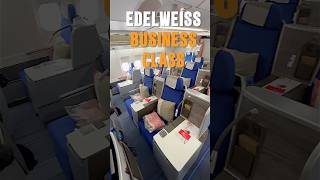 Edelweiss Business Class Das ist also unser Langstreckenflug was eigentlich ein Zubringer ist [upl. by Neelyak]