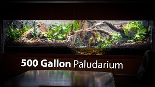 I Built a 500 GALLON PALUDARIUM at Pondemonium [upl. by Cohlier483]