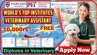 New Veterinary Telehealth Certificate  Penn Foster online program [upl. by Ayojal]