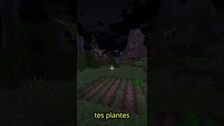 Les abeille augemente la croissance de tes plantes minecraft astuceminecraft abeille [upl. by Abana]